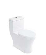 M Pro One Piece Dual Flush Toilet
